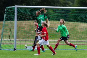Bild 161 - C-Juniorinnen Landesmeister Finale SV Wahlstedt - TuRa Meldorf : Ergebnis: 1:4